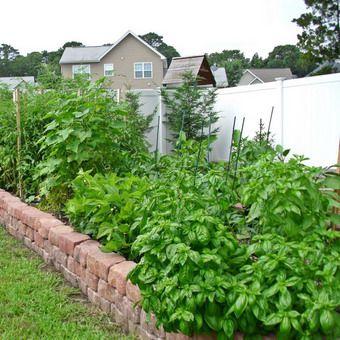 Цветники на даче своими руками: оригинальные идеи по оформлению красивых цветников для начинающих Цветники на даче своими руками: оригинальные идеи по оформлению красивых цветников для начинающих