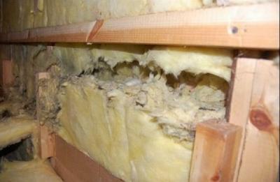 Какой утеплитель не грызут мыши: варианты утеплителей, которые не грызут мыши и крысы Какой утеплитель не грызут мыши: варианты утеплителей, которые не грызут мыши и крысы