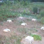 Фундамент для беседки своими руками: делаем фундамент под беседку правильно Фундамент для беседки своими руками: делаем фундамент под беседку правильно