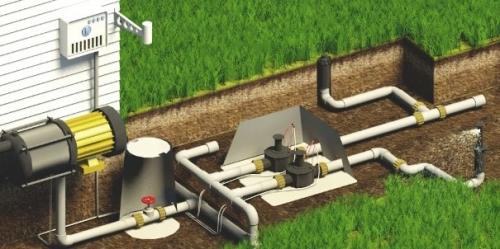 Как правильно поливать газон Как правильно поливать газон