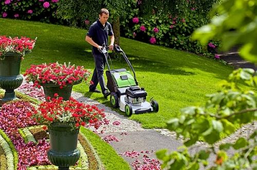 Красивый газон: основные правила ухода Красивый газон: основные правила ухода