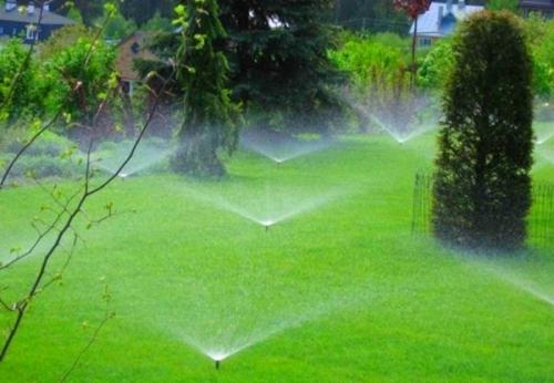 Как правильно поливать газон Как правильно поливать газон
