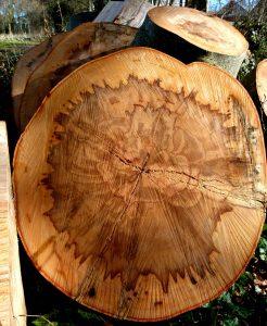 Стол для дачи своими руками: делаем деревянные столы для дачи самостоятельно, изучив пошаговые инструкции