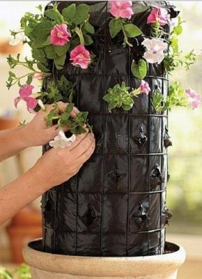 Клумба своими руками: делаем клумбу из подручных материалов на даче Клумба своими руками: делаем клумбу из подручных материалов на даче