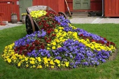 Цветники на даче своими руками: оригинальные идеи по оформлению красивых цветников для начинающих Цветники на даче своими руками: оригинальные идеи по оформлению красивых цветников для начинающих