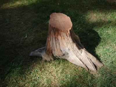 Стол для дачи своими руками: делаем деревянные столы для дачи самостоятельно, изучив пошаговые инструкции