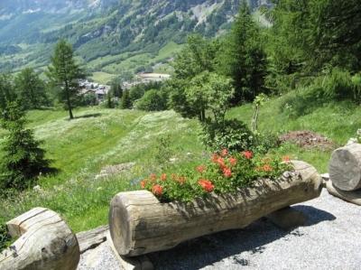 Цветники на даче своими руками: оригинальные идеи по оформлению красивых цветников для начинающих Цветники на даче своими руками: оригинальные идеи по оформлению красивых цветников для начинающих