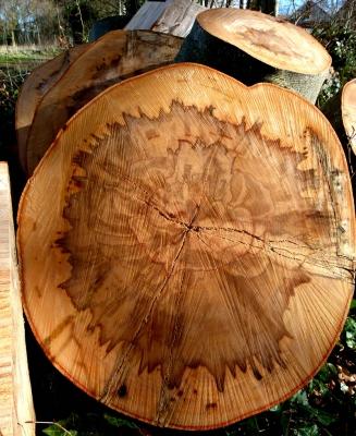 Стол для дачи своими руками: делаем деревянные столы для дачи самостоятельно, изучив пошаговые инструкции