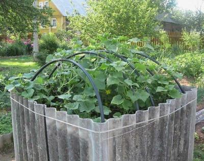 Высокие грядки своими руками: пошагово делаем грядки из досок на даче Высокие грядки своими руками: пошагово делаем грядки из досок на даче