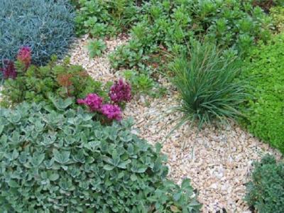 Клумба своими руками: делаем клумбу из подручных материалов на даче Клумба своими руками: делаем клумбу из подручных материалов на даче