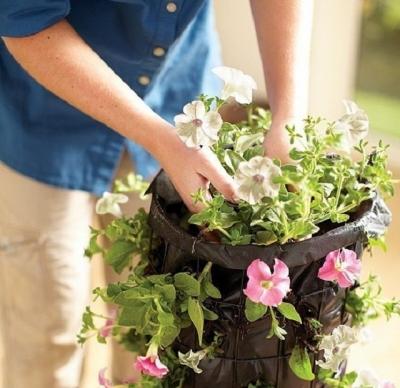 Клумба своими руками: делаем клумбу из подручных материалов на даче Клумба своими руками: делаем клумбу из подручных материалов на даче