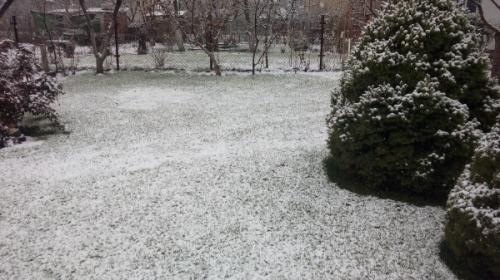 Красивый газон: основные правила ухода Красивый газон: основные правила ухода