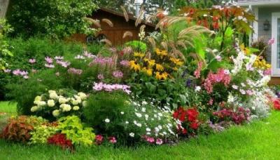 Цветники на даче своими руками: оригинальные идеи по оформлению красивых цветников для начинающих Цветники на даче своими руками: оригинальные идеи по оформлению красивых цветников для начинающих