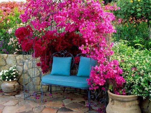 Уютный розарий возле дома Уютный розарий возле дома