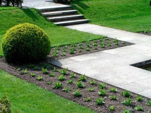 Как правильно стричь газон