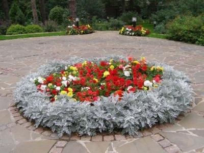 Клумба своими руками: делаем клумбу из подручных материалов на даче Клумба своими руками: делаем клумбу из подручных материалов на даче