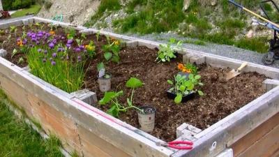 Высокие грядки своими руками: пошагово делаем грядки из досок на даче Высокие грядки своими руками: пошагово делаем грядки из досок на даче