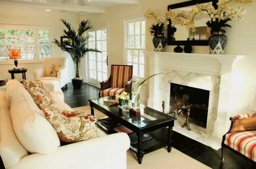 Зелёные растения для гостиной: лучшие идеи