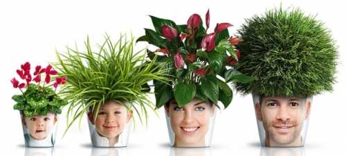 Декор цветочных горшков Декор цветочных горшков