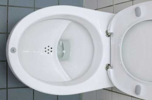 Как выбрать хороший унитаз Как выбрать хороший унитаз