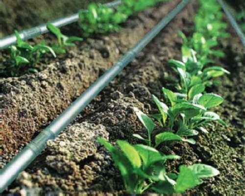 Как сделать систему полива своими руками Как сделать систему полива своими руками