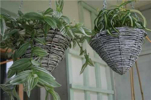 Декор цветочных горшков Декор цветочных горшков