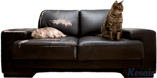 Ремонт и реставрация диванов – творческий подход, оперативность, гарантия качества Ремонт и реставрация диванов – творческий подход, оперативность, гарантия качества