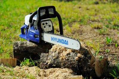 Топ 7 производителей бензопил. Какому отдать предпочтение? Топ 7 производителей бензопил. Какому отдать предпочтение?