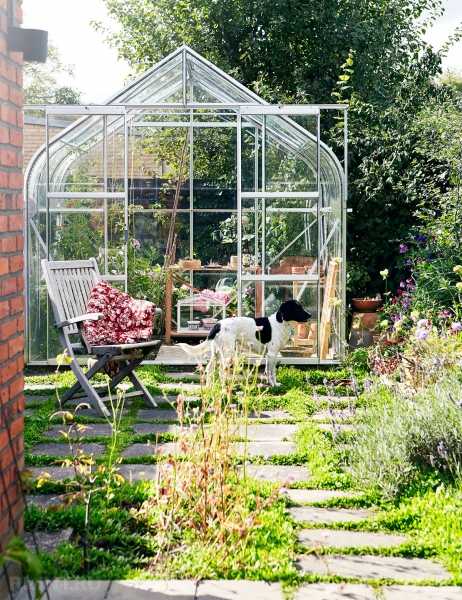 Красивые и эффективные теплицы на участке
 
Красивые и эффективные теплицы на участке