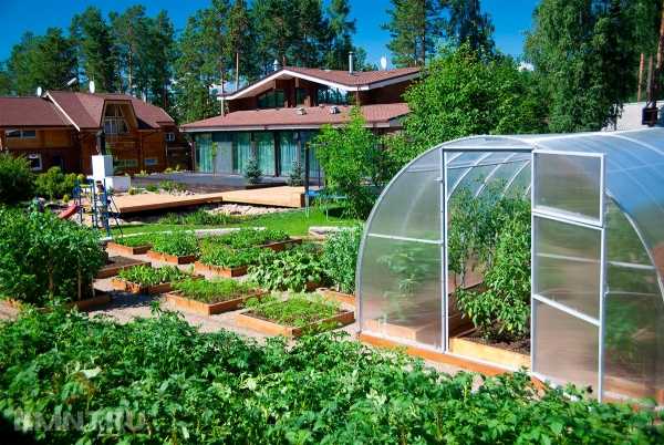 Красивые и эффективные теплицы на участке
 
Красивые и эффективные теплицы на участке