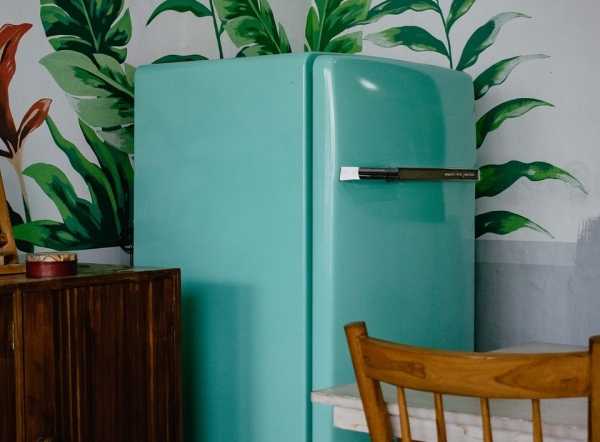 Куда сдать холодильник на утилизацию за деньги, другие бонусы и даром: 4 варианта Куда сдать холодильник на утилизацию за деньги, другие бонусы и даром: 4 варианта