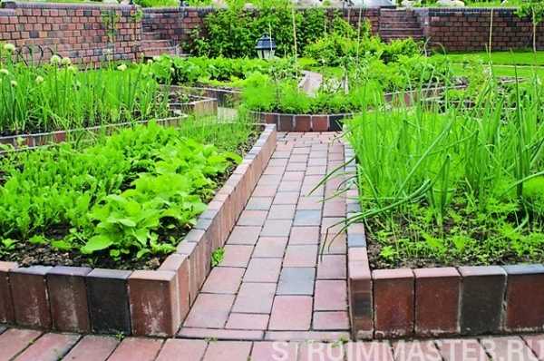 Превращение огородного участка в дачный Превращение огородного участка в дачный