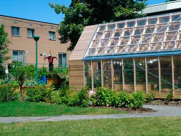 Красивые и эффективные теплицы на участке
 
Красивые и эффективные теплицы на участке