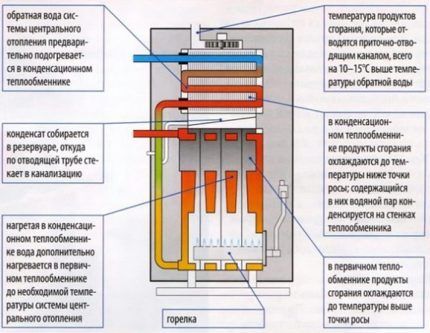 Настенные газовые котлы отопления: виды, как выбрать, обзор лучших моделей на рынке