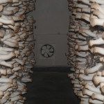 Вешенки, Шампиньоны, Лук
