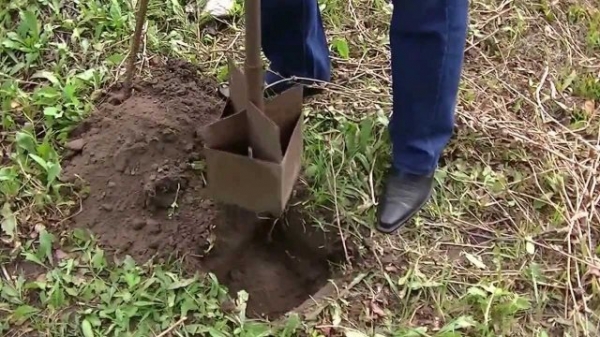 Как сделать плетенный забор своими руками Как сделать плетенный забор своими руками