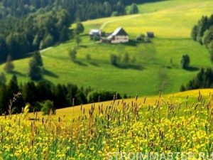 Выбираем участок для постройки дома Выбираем участок для постройки дома